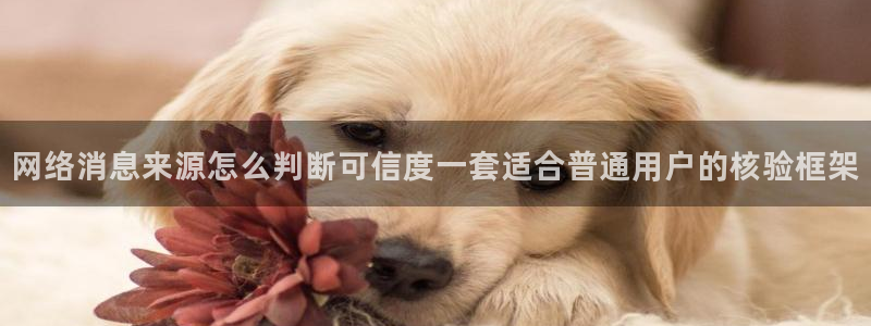 91吃瓜事件搜索
