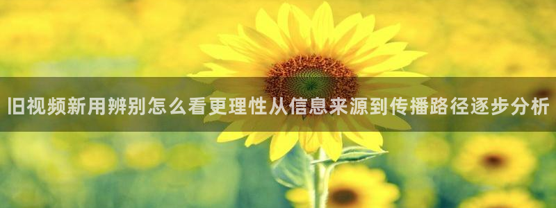91吃瓜热门事件