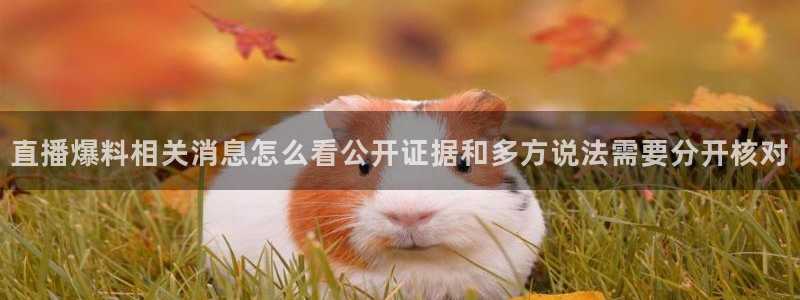 吃瓜最新资讯